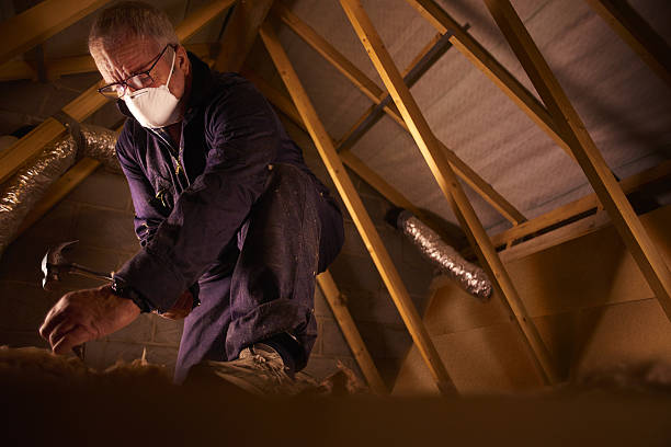 Best Residential Insulation in Star Valley, AZ